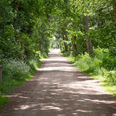 Wohnen Am Suedstrand - 1 1 Apartmán Wyk auf Föhr